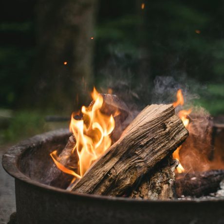 13774860_1653690838189206_694742427_n